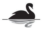 Black swan