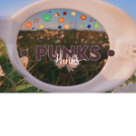 P U N K S !