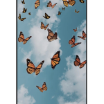 Avery’s butterflys