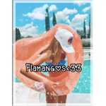 Little flamingos<3