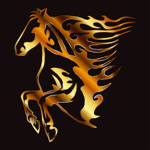 The Flaming Broncos