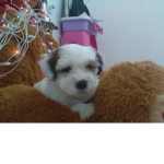 Ivannia y Mily