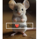 We love animal’s
