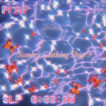 Scenery Clothing Shop