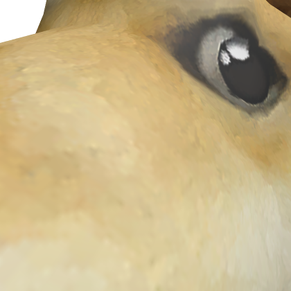 doge mesh