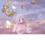 Soffie cookie