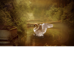 .Enchanting Water.