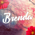 Brenda's bot gang