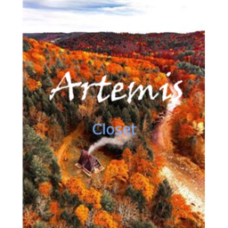 Artemis's homestore