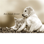 Lovers :3 <3