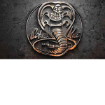 !!!Cobra kai dojo re-open!!!