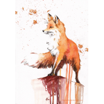 The fire foxes flames