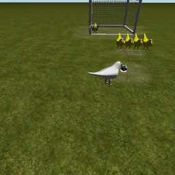 Free kick kullanan cicikuş icon
