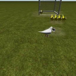Free kick kullanan cicikuş icon