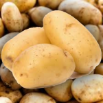 The Potatoverse Server