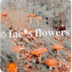 ʚ fae’s flowers