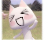 L 1 L L Y