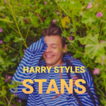 HARRY STYLES STANS