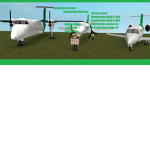 Perimeter Aviation