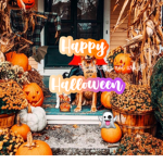 ## camis closet ʚɞ Group Thumbnail