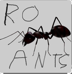 THE ROANTS