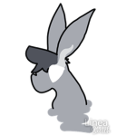 Group Cute bunny