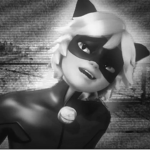CatNoirsFav