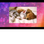 viciouse spieices