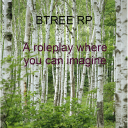 B TREE RP