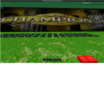 CHAMPIONS...back up fighting force