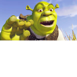 SURVIVE SHREK