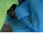 Meow meow meow meow meow cat