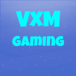 VxM Gaming