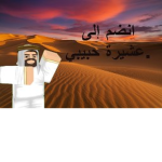 Habibi Inc