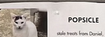 popsicle hater club