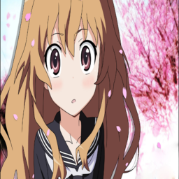 Taiga Aisaka shrine !