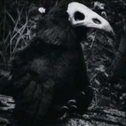 🖤