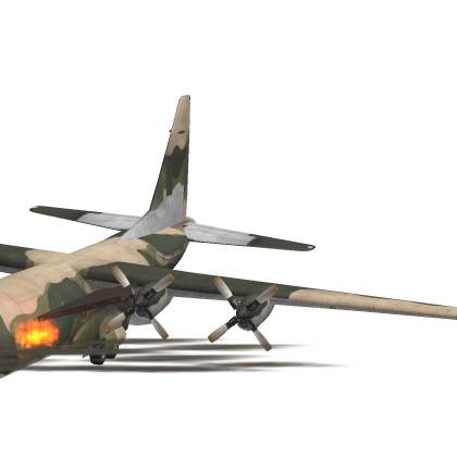 Crashed Plane