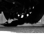 ThE ViBiNg cAT