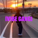 [V I B E G A N G]
