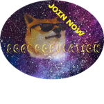 DOGE POPULATION