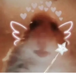 Xpeachy._.Meganx