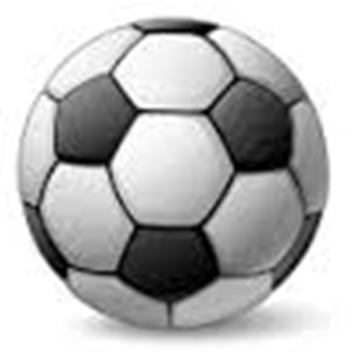 Ro Soccer Pitch