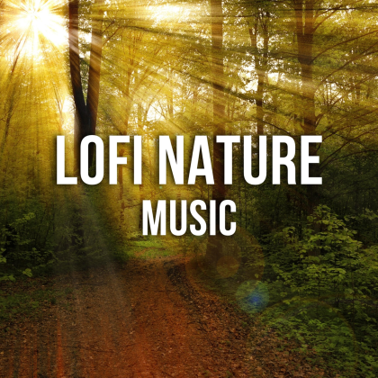Tropical Rainforest LoFi Roblox music