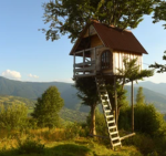 Time's treehouse
