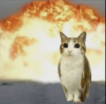 ~_~cinnamonroll~_~