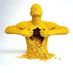 Lego Master Builders/Fans