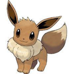 POKÈMON MEMESSSSS
