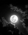 Noctyrah