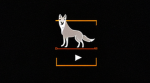 Wolf Pack Industry